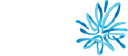 AMP Limited