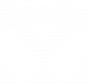 Vertiv Holdings Co