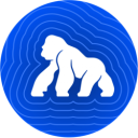 ApeCoin