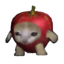 Apple Cat