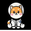 Asteroid Shiba