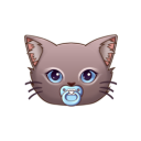Baby Cat