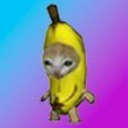BananaCat (Sol)