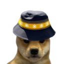 BNB DOGE