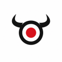 BULLS'S EYE