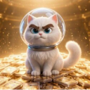 CARDCAT COIN