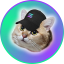CatSolHat
