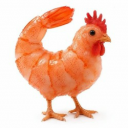 Chicken shrimp