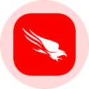 CrowdStrike (Ondo Tokenized Stock)