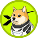 DOGE-1