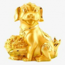 Doge Baby