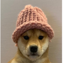 Dogwifhat Eth