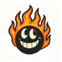 Don't Burn Capital