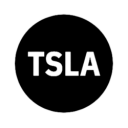 Tesla Tokenized Stock Defichain