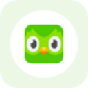Duolingo rStock