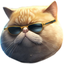 FAT CAT