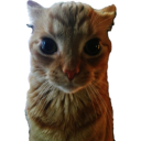 Gakster