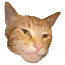 Giga Cat