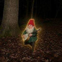 Gnomes