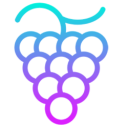 Grape Protocol