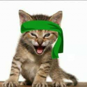 Green Kitten Crew