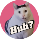 Huh cat
