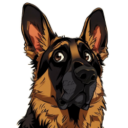 Hund