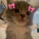 Iiii lovvvv youuuu