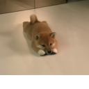 INU