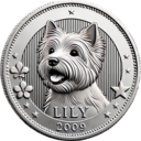 Lily's Coin