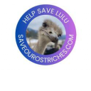 Lulu the Ostrich