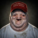 Magatard