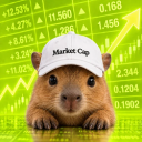Market Cap