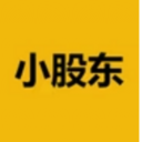 小股东 (Minor Shareholder)