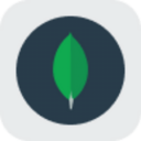 MongoDB rStock