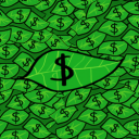 Monkey Currency