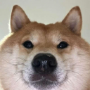NEAR INU