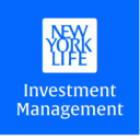 NYLIM US High Yield Bond Fund