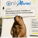 OnlyMarms