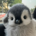 Peanie