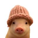 Pig wif hat