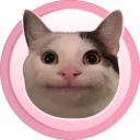Polite Cat