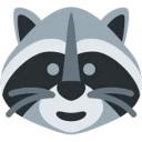 Raccoon Coin