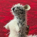 Roo the Kangaroo
