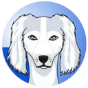 SALUKI