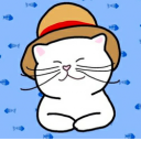 Shiro Neko CTO
