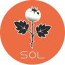 Sol The Trophy Tomato
