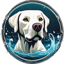 Splash Dog
