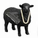 The black sheep
