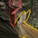 The Rousseauian Deer